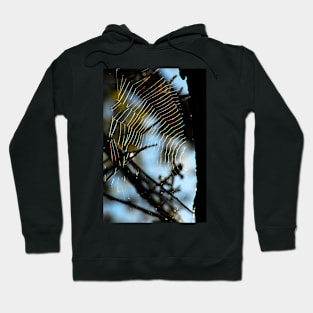 Spiderweb Rainbow Hoodie